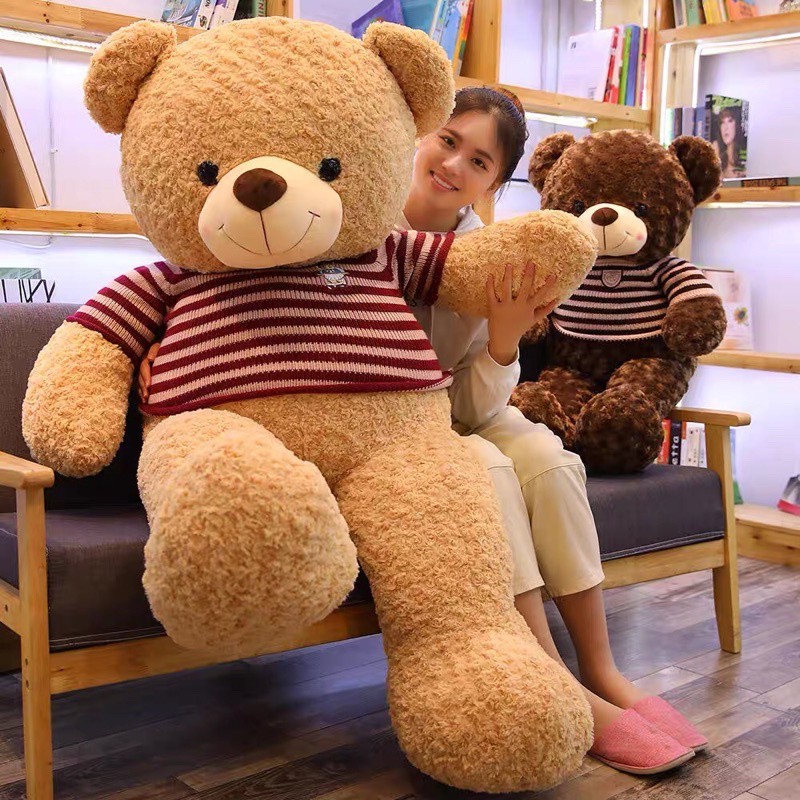 Gấu Bông Teddy - Gấu Bông To, Gối Ôm Hình Thú Teddy Nâu Bự Khổng Lồ Siêu  Đáng Yêu Giá Rẻ Size 1m2- 1m4- 1m8