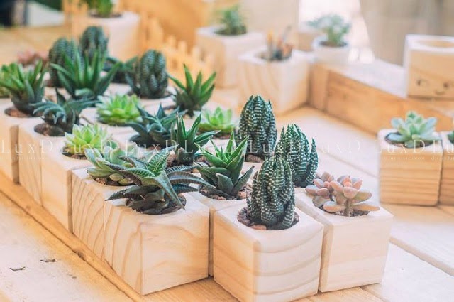 Quà Tặng 8/3 Đẹp Và Ý Nghĩa Cho Đồng Nghiệp, Nhân Viên Nữ | GreenHand Group