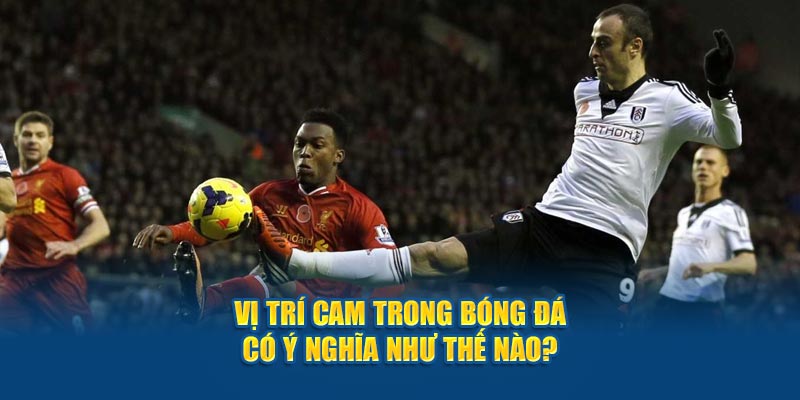 CAM trong bóng đá là gì? Tìm hiểu vai trò của nó với các nhà cái