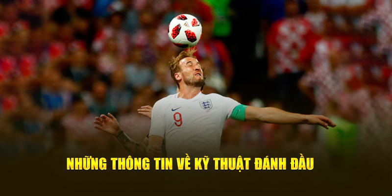 Các thành viên của Cakhia TV tiết lộ các kỹ thuật tiêu đề