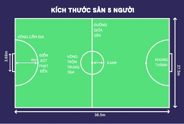 Cập Nhật] Tổng Hợp Kích Thước Sân Bóng 5,7,9 và 11 người