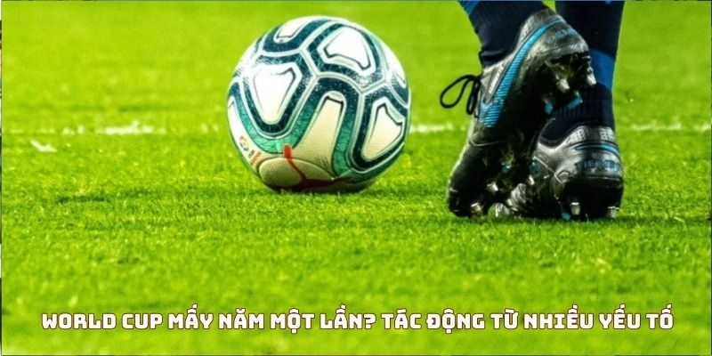 World Cup diễn ra khi nào? Khám phá bí ẩn của giải đấu trong 7 phút.