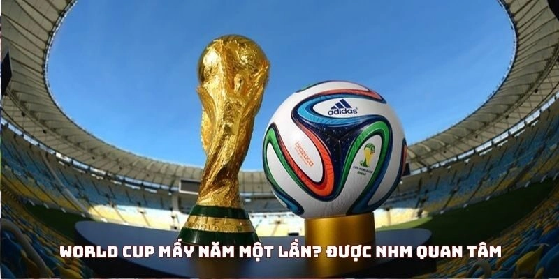 World Cup diễn ra khi nào? Khám phá bí ẩn của giải đấu trong 7 phút.