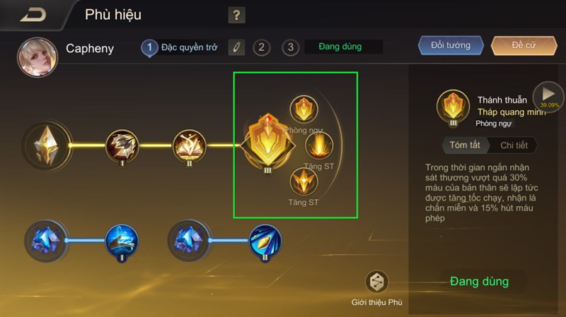 Cấu trúc nhánh chính và nhánh phụ trong hệ thống phù hiệu