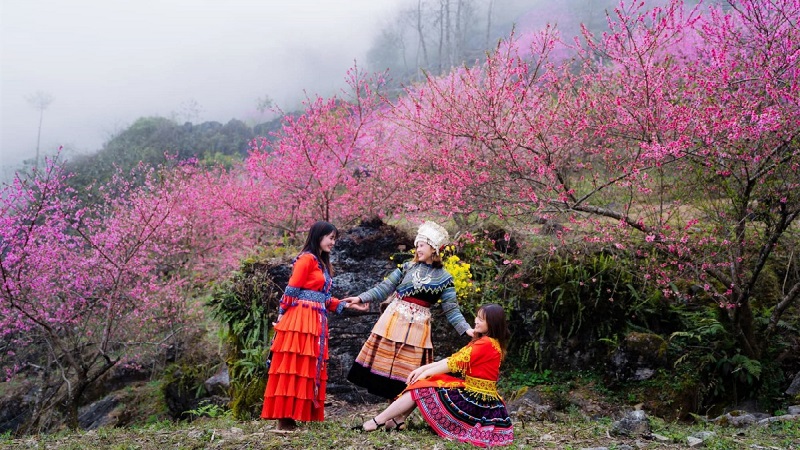 hà giang mùa hoa đào