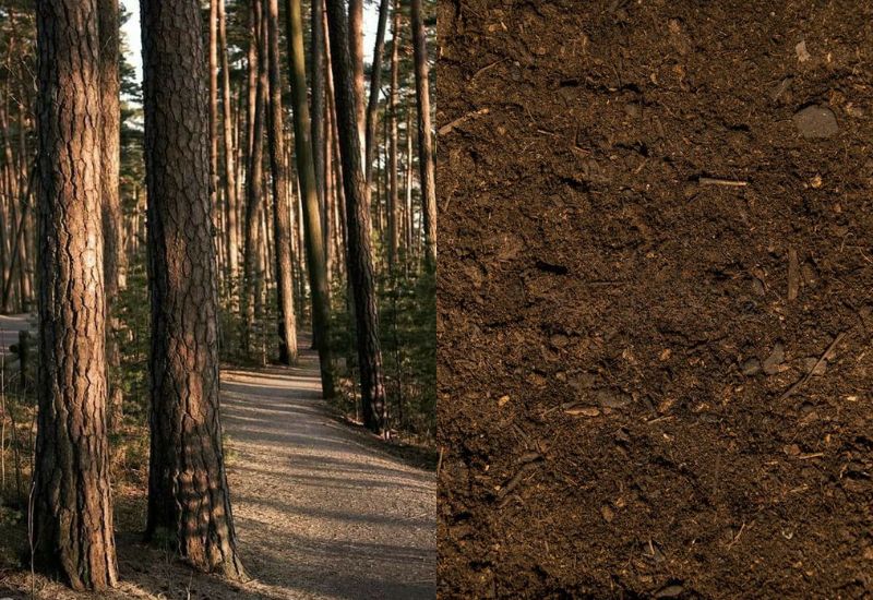 Phân tích phong thủy tuổi Nhâm Tý 1972 hợp số nào