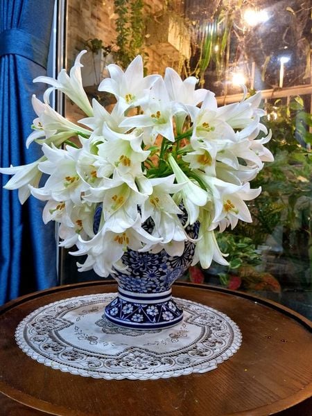 Mẫu cắm hoa loa kèn đẹp 2